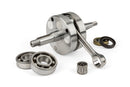 Beta RR-T SM 50 2T - Motorpack Zylinder + Kurbelwelle TPR 100