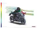 KAWASAKI ZX-10RR NINJA PERFORMANCE [2018] – R-Racer Screen – Transparent-12