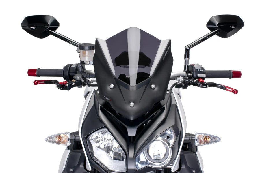BMW S 1000 R [2018] – New Generation Sport – Heavily tinted