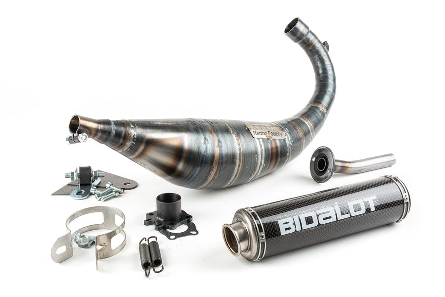 Derbi Senda DRD Racing SM 50 2T D50B0 [2012–] - Auspuff RF50WR