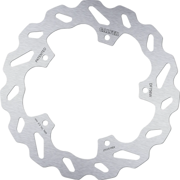 BMW S 1000 R [2025] - brake disc – picture 1