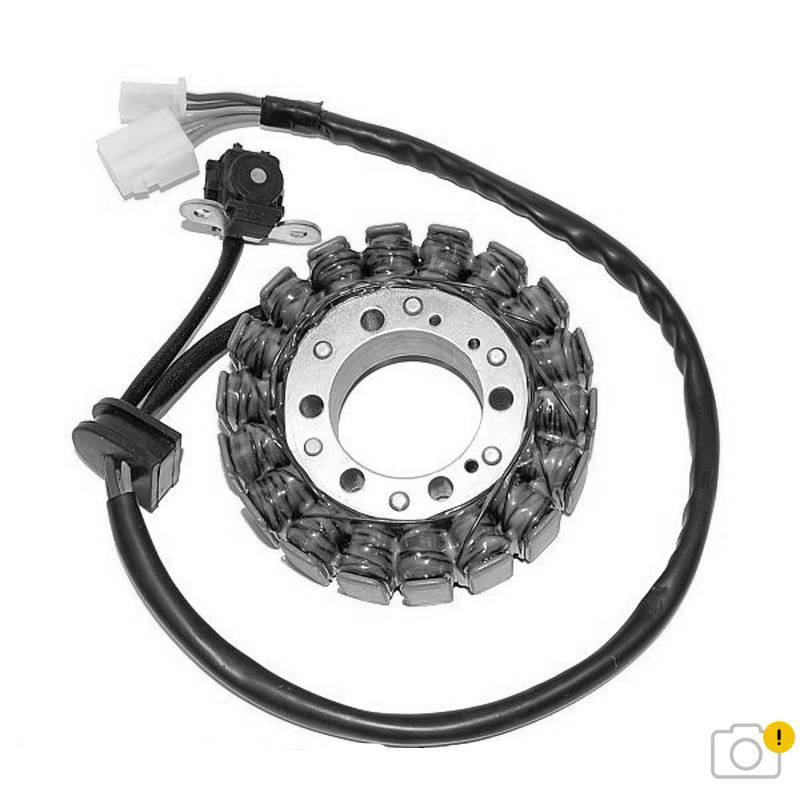 Suzuki Sfv [ELECTROSPORT] - Stator - Suzuki 650 Gladius