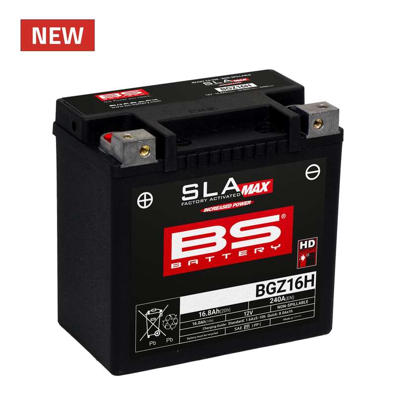 BMW R 1200 GS [BS Battery] - motorcycle battery