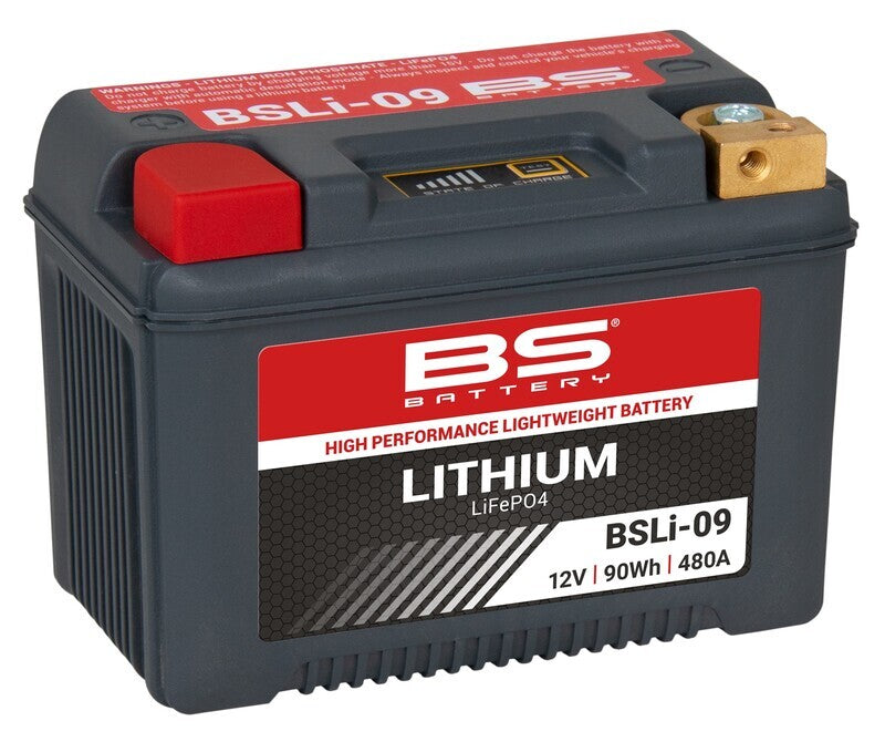 Triumph Tiger 800 [BS BATTERY] - Lithium-ion battery - BSLI-09