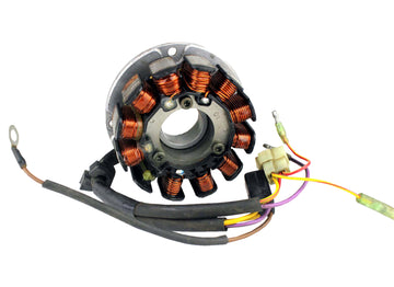 ARCTIC CAT MOUNTAIN CAT 900 [2003-2004] - Stator for snowmobiles