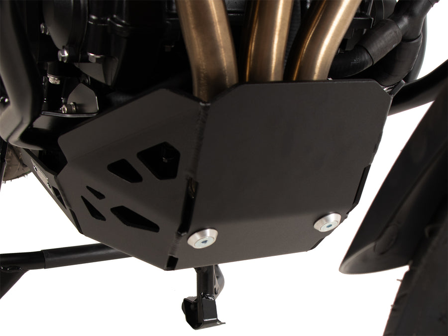 Triumph Tiger 900 Rally Pro [2024-2026] - Protection bar