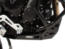 Triumph Tiger 900 Rally Pro [2024-2026] - Protection bar