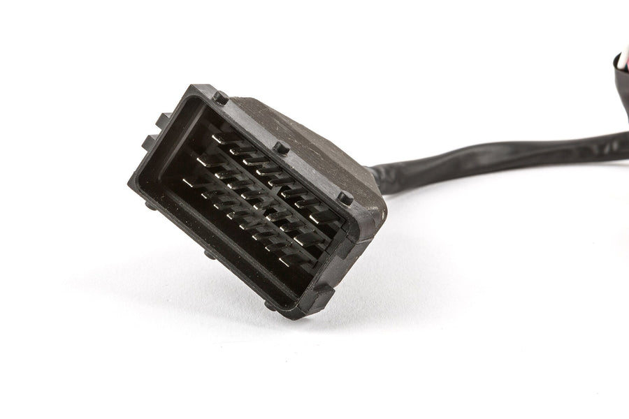 Fantic XE 50 2T - Offene CDI TPR