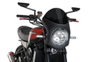 KAWASAKI Z 900 RS SE [2025] – Retro Fairing Screen – Tinted-11