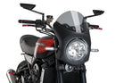 KAWASAKI Z 900 RS SE [2025] – Raptor – Tinted-7