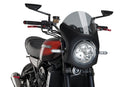 KAWASAKI Z 900 RS SE [2025] – Retro Fairing Screen – Tinted-9