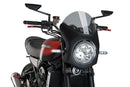 KAWASAKI Z 900 RS SE [2025] – Retro Fairing Screen – Tinted-2
