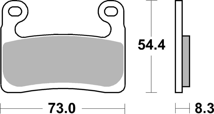 BMW S 1000 [2020-2023] - Dual Sinter brake pads