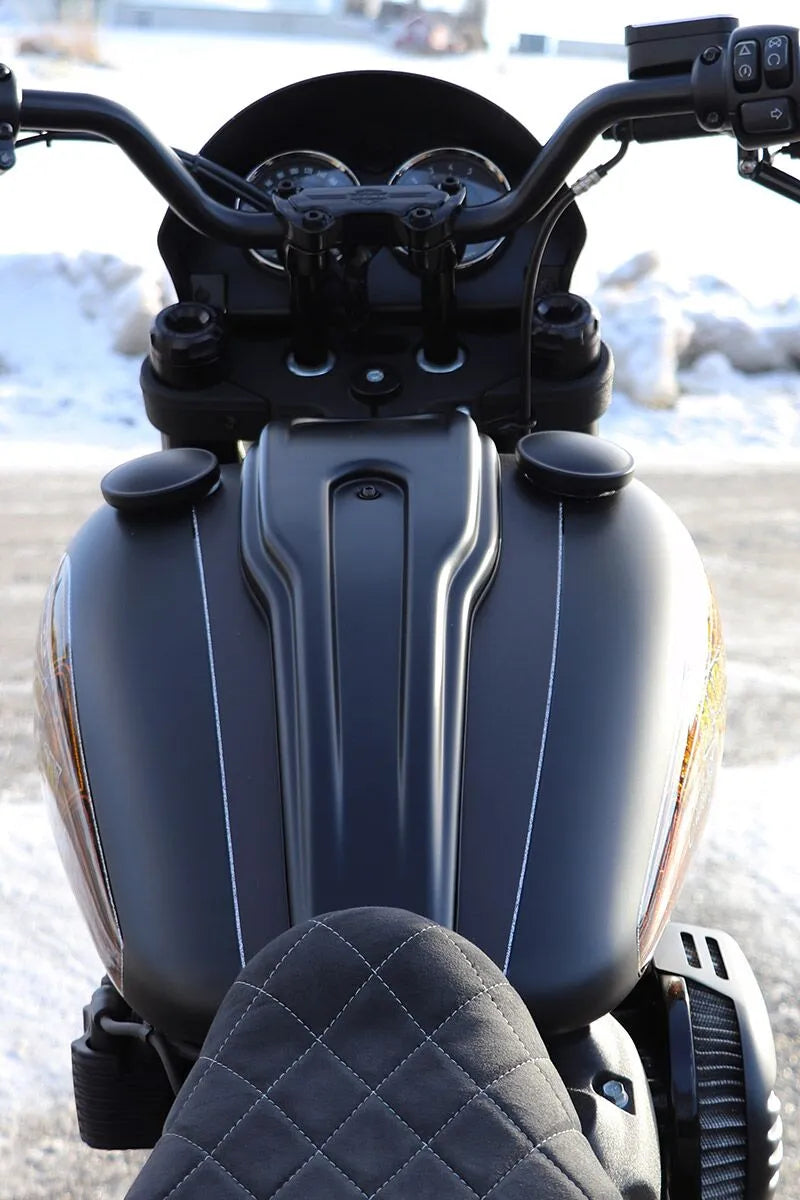 harley davidson fxlrst [CULT WERK] – Dash cover for Harley