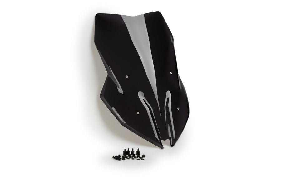 BMW F 900 XR [2025] – touring window – heavily tinted