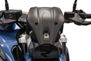 BMW R 1300 R [ab 2025] - Carbonfaser-Windschild
