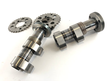 Aprilia Mille RSV 1000 ME [1999] - Camshaft Set Rear Cylinder - 0