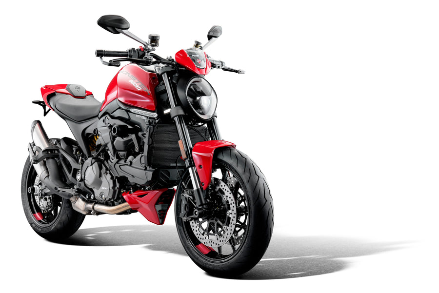 Ducati Monster 950 [ab 2021] - Motorschutz