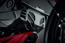 Ducati Monster 950 [ab 2021] - Motorschutz