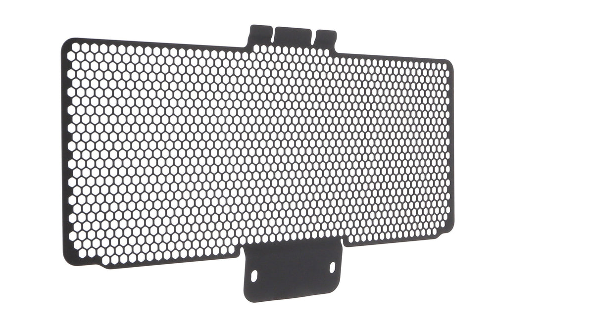 Ducati Panigale 1199 S [2012–2015] - Oberer Kühlerschutz – 360° Ansicht 8