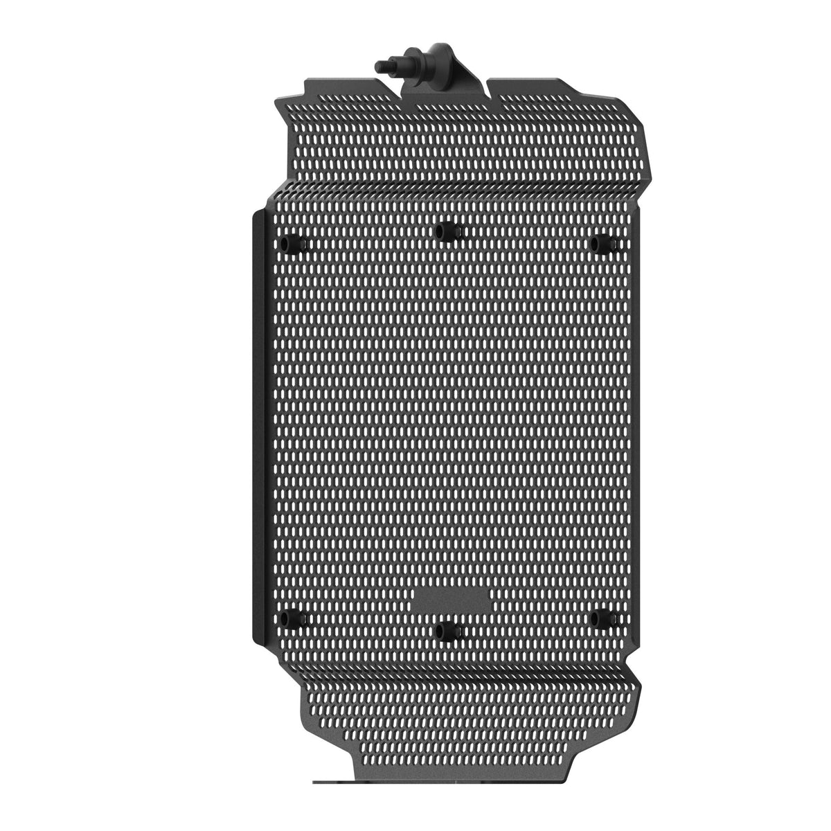Moto Guzzi V100 Mandello [2023+] - Kühlerprotektor – 360° Ansicht 15