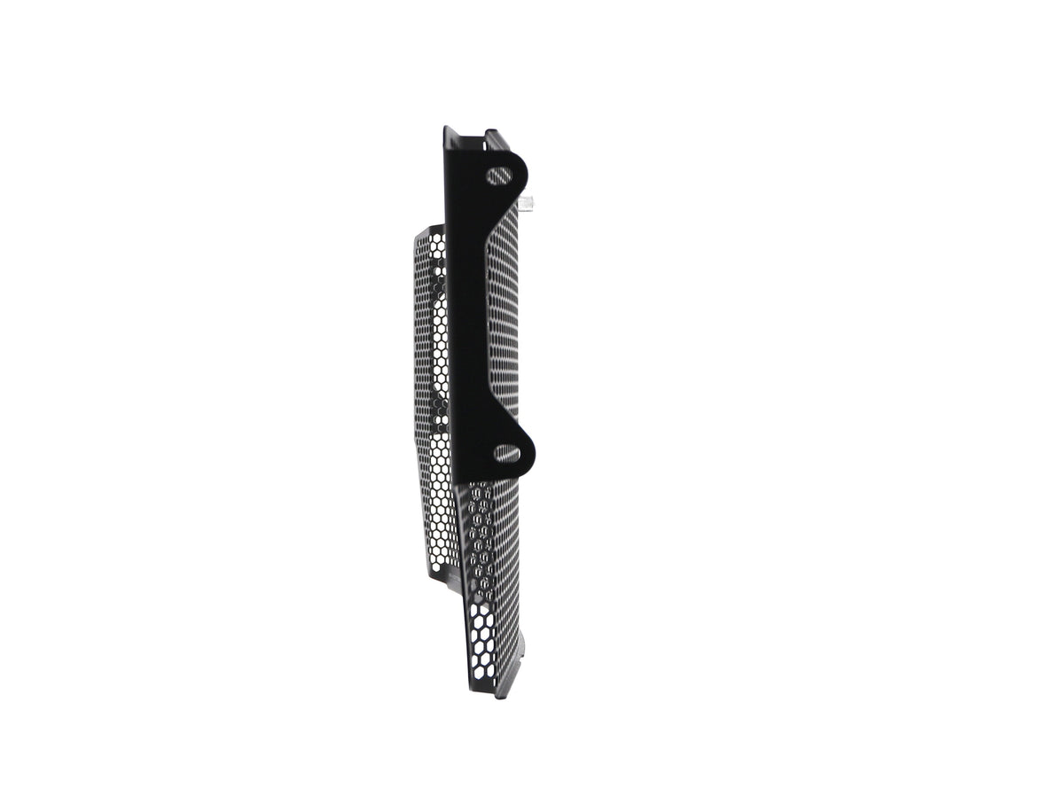 Triumph Speed Triple [2016-2017] - Radiator Protector – 360° Ansicht 5