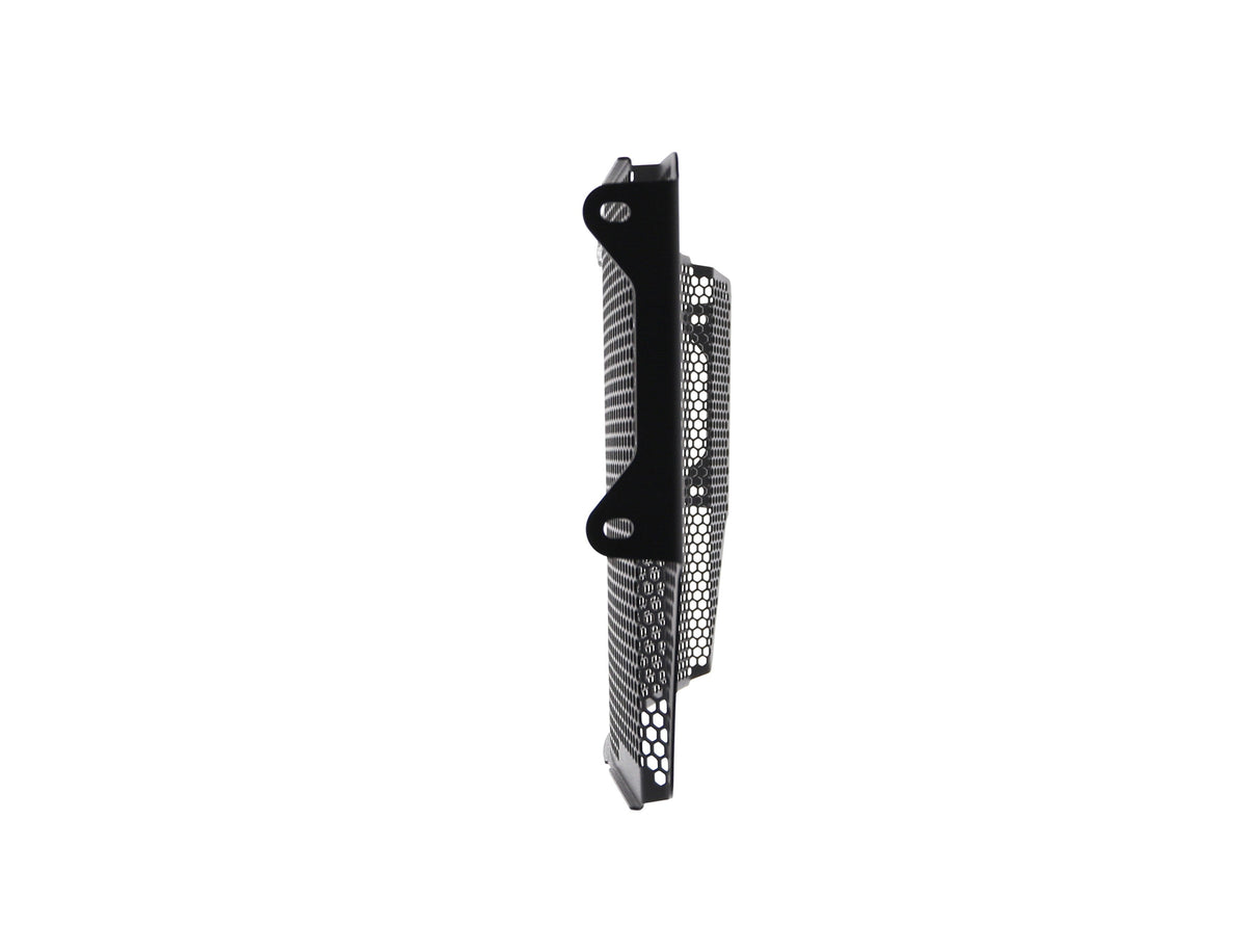 Triumph Speed Triple [2016-2017] - Radiator Protector – 360° Ansicht 18