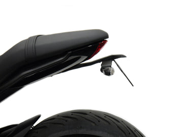 Triumph Trident 660 Triple Tribute Edition [ab 2024] - Kennzeichenhalter