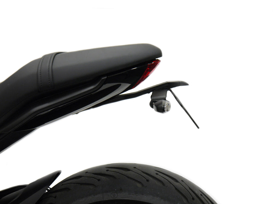 Triumph Trident 660 Triple Tribute Edition [ab 2024] - Kennzeichenhalter