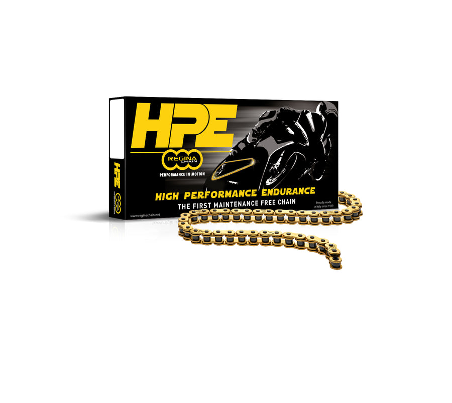 TRIUMPH SPEED TRIPLE 1050 [2012-2015] - Z-ring chain