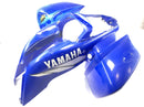 Yamaha YFM 660 R Raptor [2002] - Frontverkleidung Kotflügel vorne Tankverkleidung Verkleidung