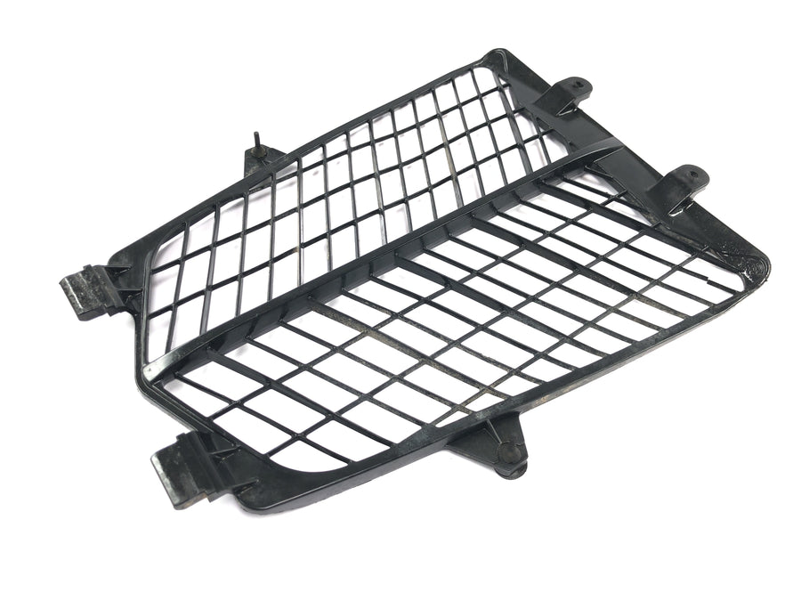 Yamaha YFM 660 R Raptor [2002] - Kühlergitter Lüftergitter Schutzgitter vorne