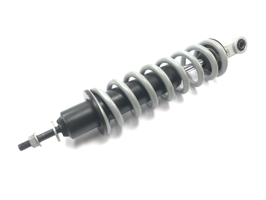 BMW R 1150 R R21 [2001] - Front shock absorber strut Showa