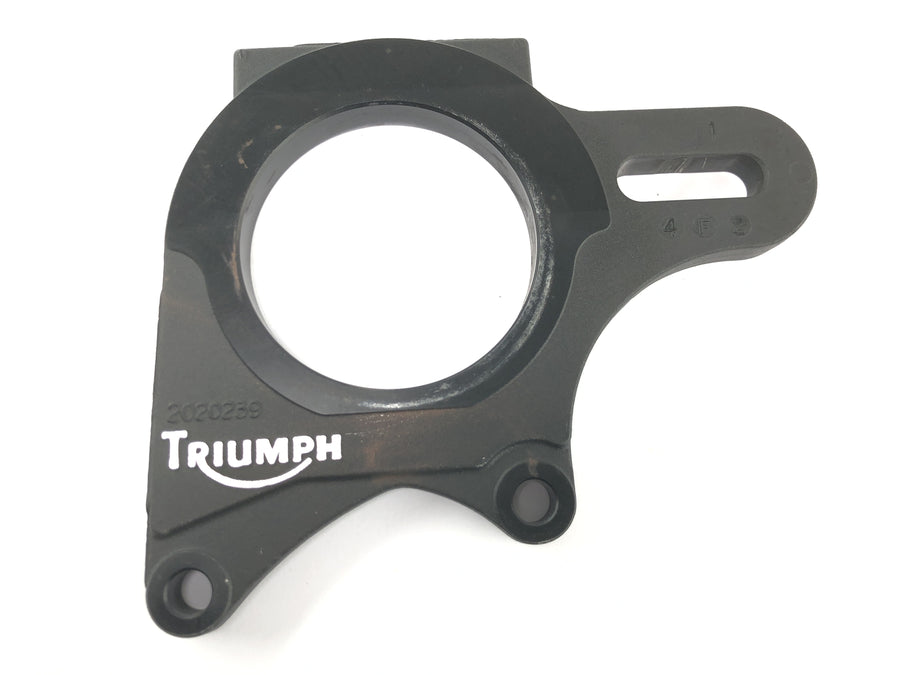 Triumph Daytona 955i 595N [2006] - Bremssattelaufnahme hinten Bremsankerplatte