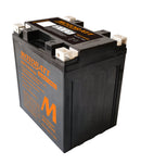 HARLEY-DAVIDSON FLHTCUI [1999-2006] - Motorcycle battery