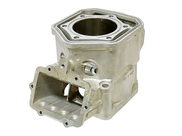 SKI DOO MXZ BLIZZARD 600 HO E TEC [2007] - Cylinder for snowmobiles