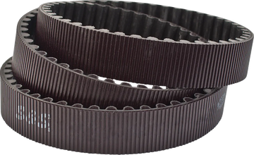 Harley-Davidson FXDBA 1690 Dyna Street Bob Limited [2013] - Sekundärantriebsriemen – Bild 1