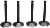 Harley Davidson FX Shovel [KIBBLEWHITE] – Black Diamond™ Engine Valve Kit