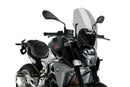 BMW F 900 R [2025] – touring window with spoiler window – tinted-3