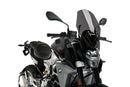 BMW F 900 R [2025] – license plate holder – heavily tinted