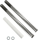 Yamaha XVS 950 [PROGRESSIVE SUSPENSION] – Replacing springs for the front fork