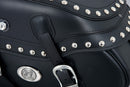 Motorradtasche [Hepco & Becker] - Leder Buffalo Big Custom links – Rohrpacktaschenhalter