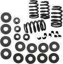 Harley-Davidson XR 1200 X [2011-2012] - 0,585" Ventilfedersatz – Bild 1