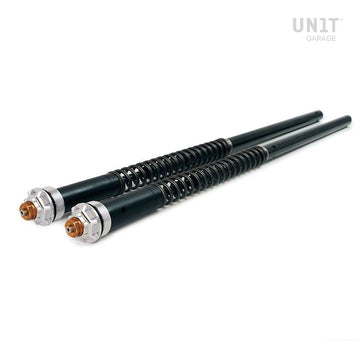 BMW R 12 [2024-2026] - Gabelkartuschen (Standardhöhe)