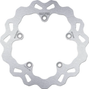 Bmw R Nine T ABS [2023] - brake disc – picture 3