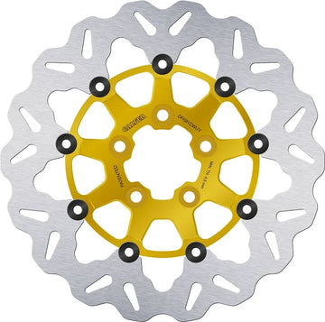 Harley-Davidson XL 1200 R Sportster Roadster [2008] - brake discs - surface: gold, silver - picture 1