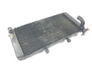 Honda CBR 900 RR SC28 [1995] - Radiator water cooler radiator network-2