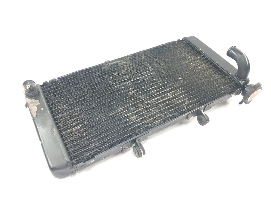 Honda CBR 900 RR SC28 [1995] - Radiator water cooler radiator network