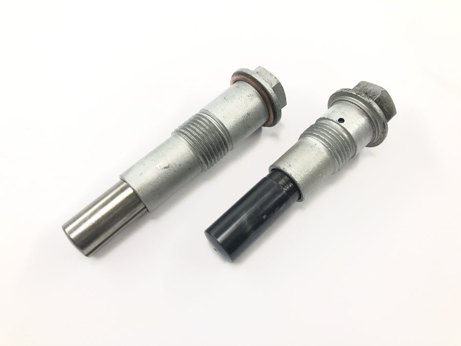 BMW R 1150 R R21 [2001] - timing chain tensioner pair