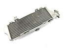 SWM RS 125 R B2 [2020] - Radiator water cooler cooling system radiator net at the front-1